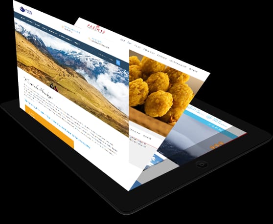Vertex Web Surf Pvt. Ltd.